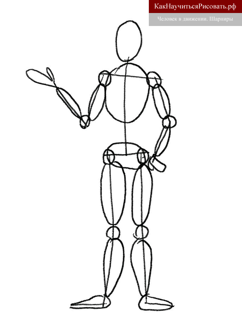 Кружок рисование человека. Моделька человека для рисования. Шарнирный макет человека. Модель человека в движении. Модель человечка.
