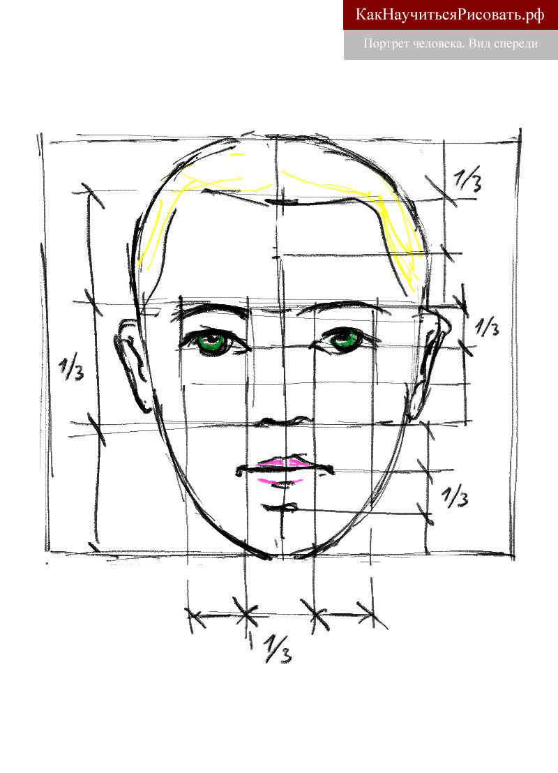 Лицо человека рисунок схема